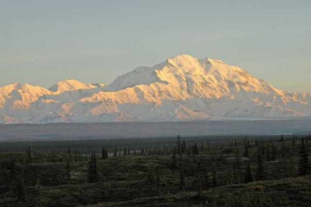 Denali Sunset.jpg